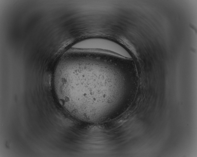 X0000093110115200710171231