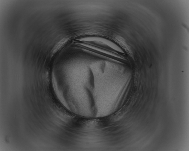 X0000093110116200710171231