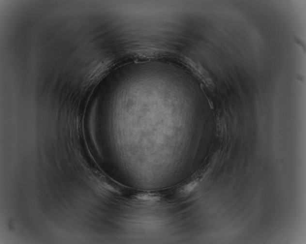 X0000093110117200710171231