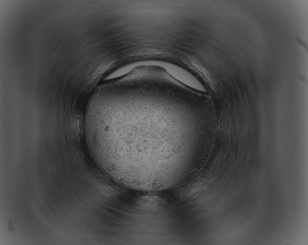 X0000093110119200710171231