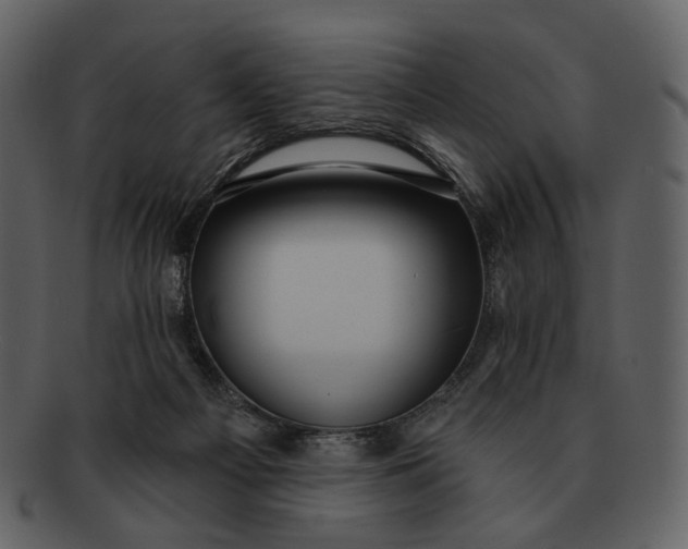 X0000093110121200710171231