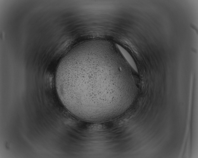 X0000093110123200710171231