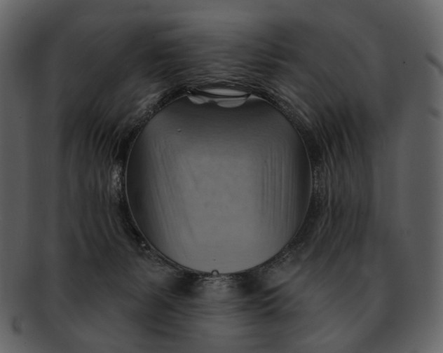 X0000093110127200710171231