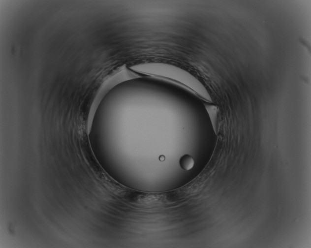 X0000093110129200710171231