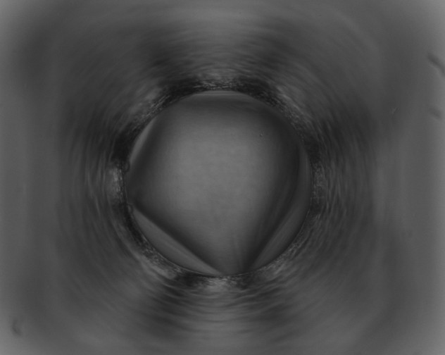 X0000093110130200710171231