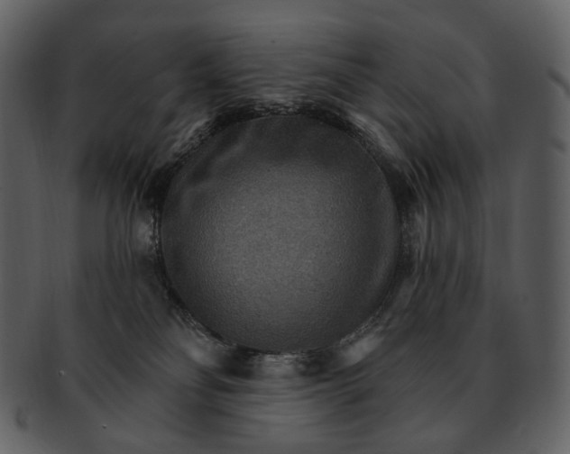 X0000093110134200710171231