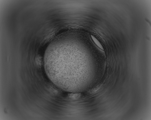 X0000093110135200710171231