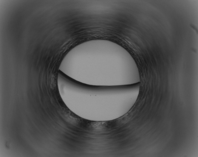 X0000093110136200710171231