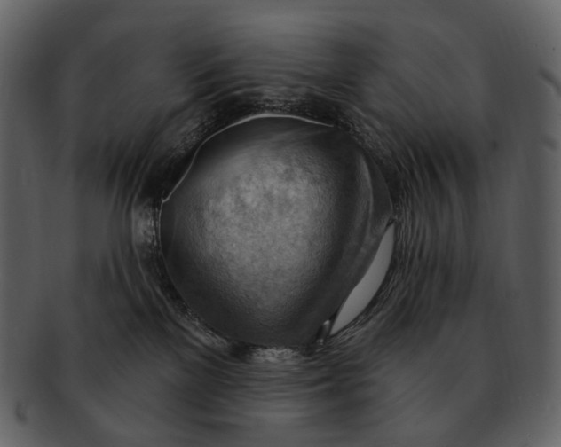 X0000093110137200710171231