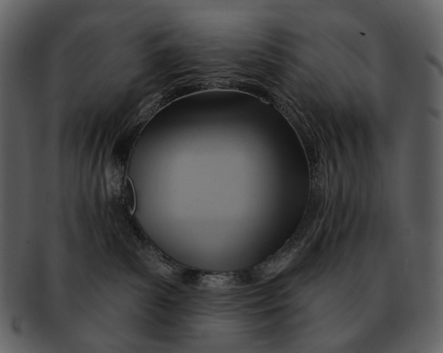 X0000093110139200710171231