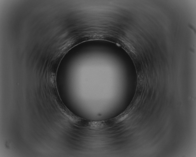 X0000093110141200710171231