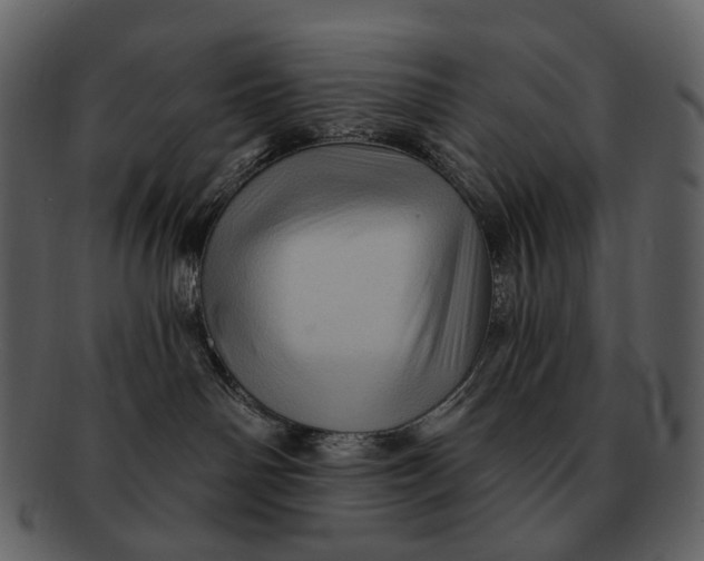 X0000093110142200710171231