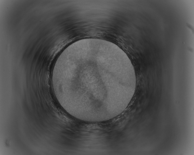 X0000093110146200710171230