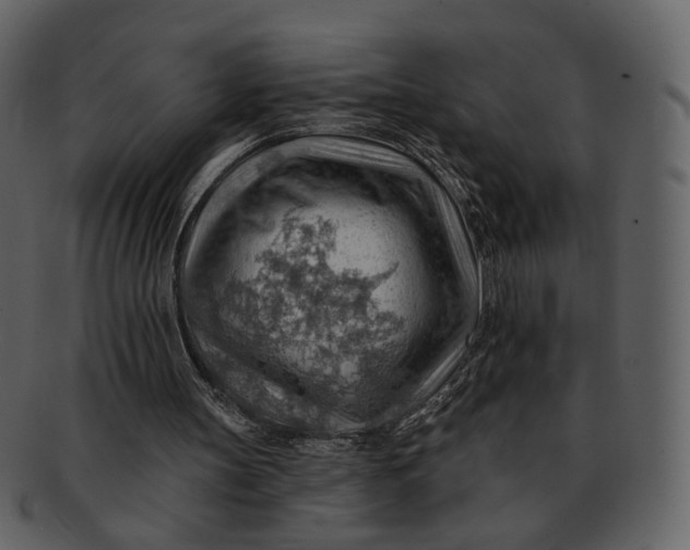 X0000093110147200710171230