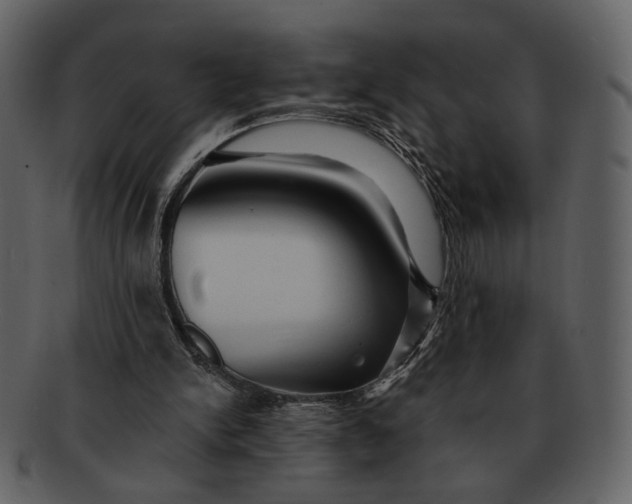 X0000093110150200710171230