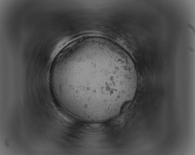 X0000093110151200710171230