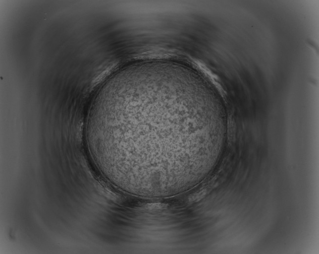 X0000093110153200710171230