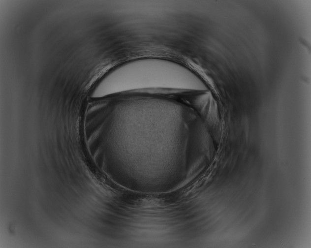 X0000093110154200710171230