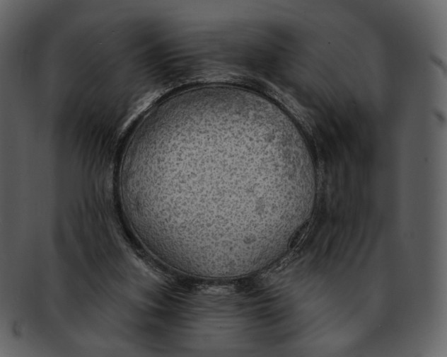 X0000093110155200710171230