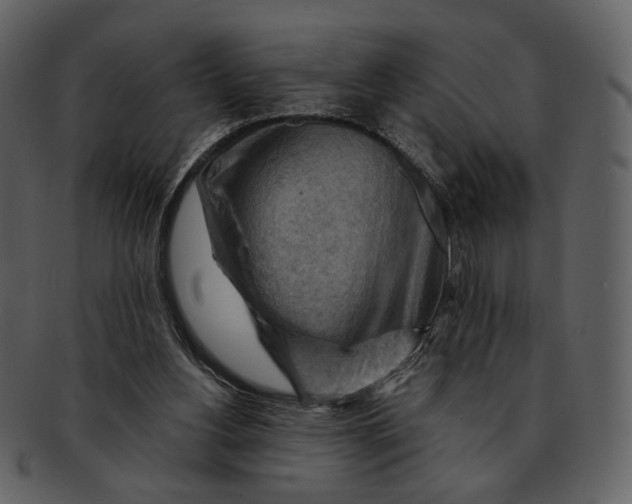 X0000093110156200710171230