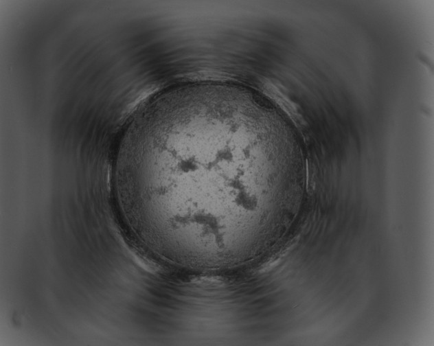 X0000093110157200710171230