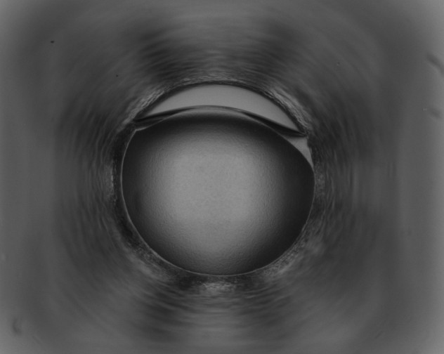 X0000093110158200710171230