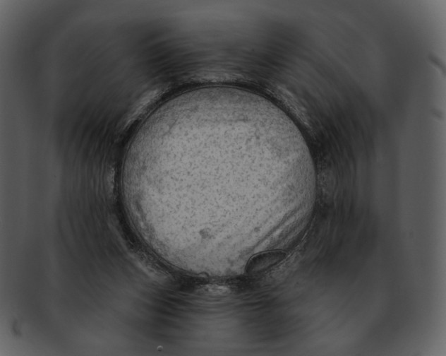 X0000093110159200710171230