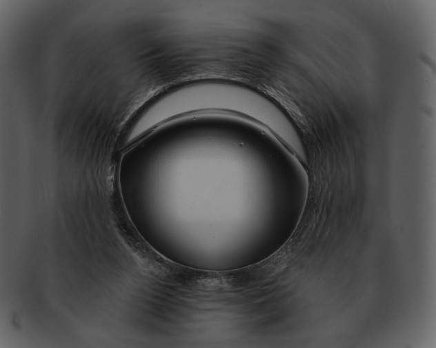 X0000093110160200710171230