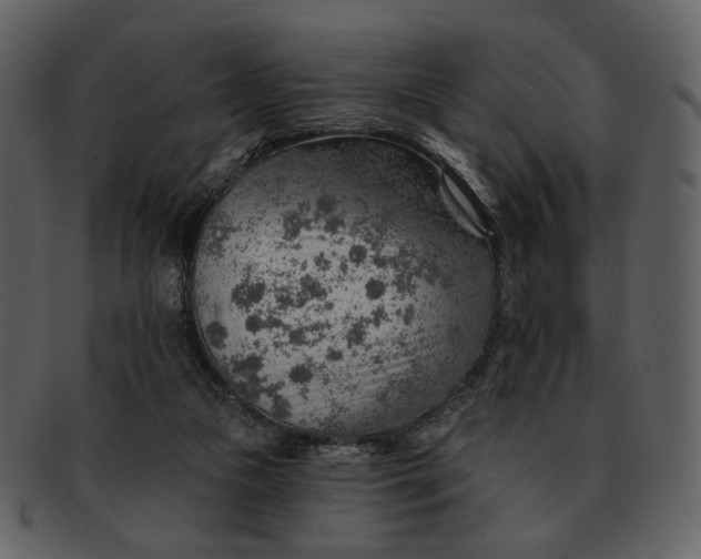 X0000093110161200710171230