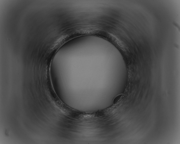 X0000093110163200710171230