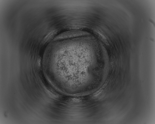 X0000093110166200710171230