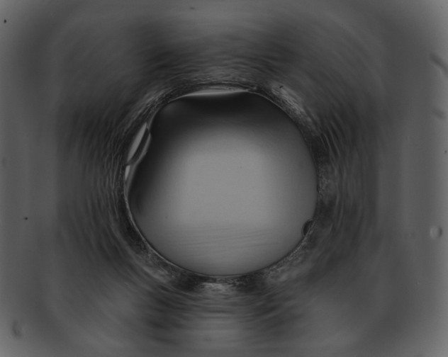 X0000093110167200710171230