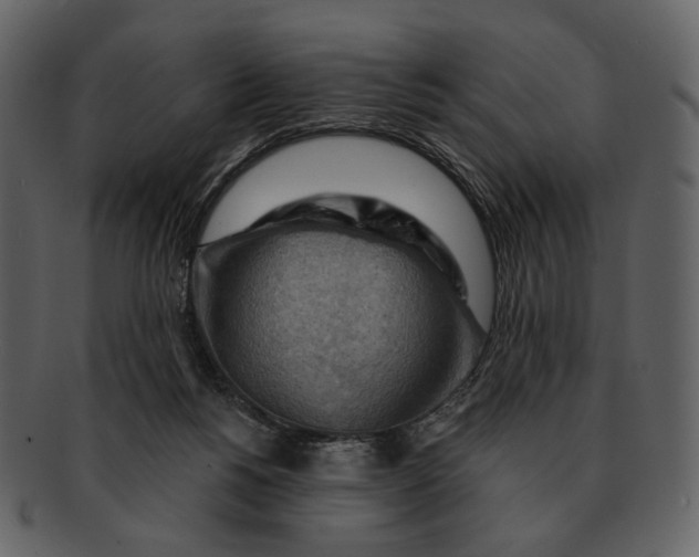 X0000093110168200710171230