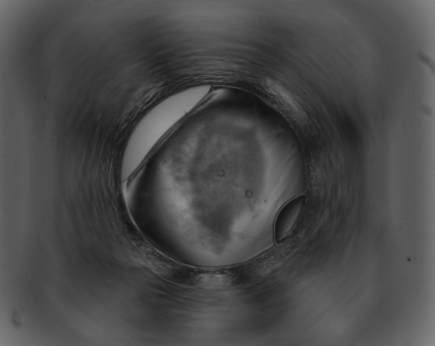 X0000093110169200710171230