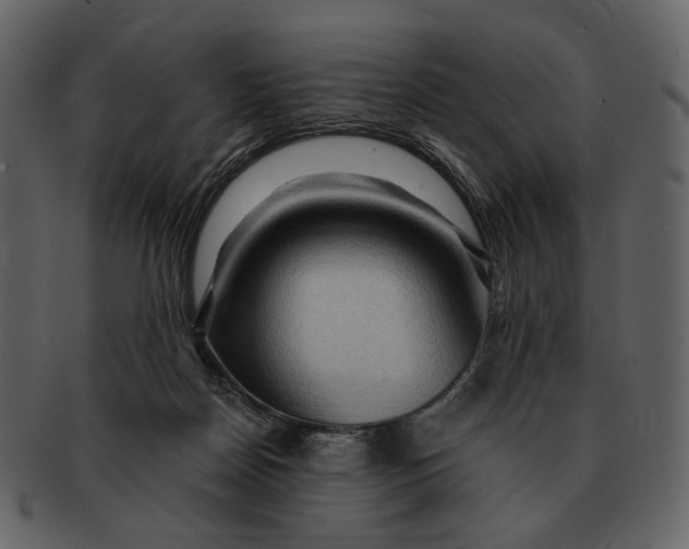 X0000093110170200710171230