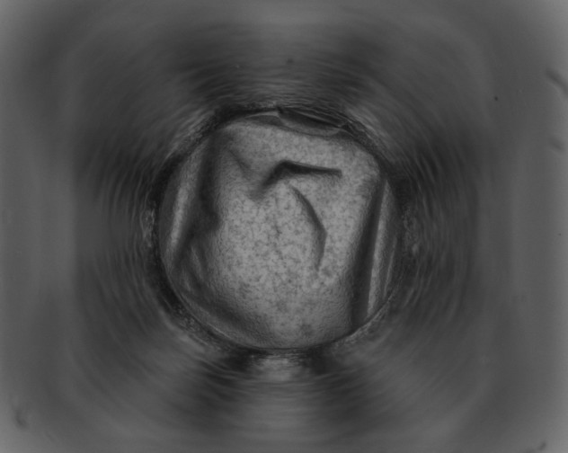 X0000093110171200710171230