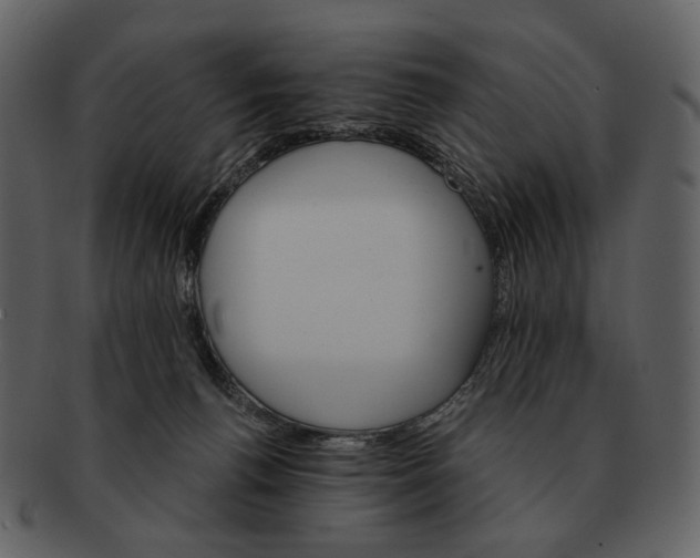 X0000093110176200710171230