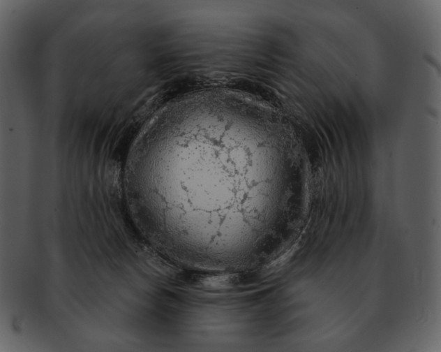 X0000093110178200710171230