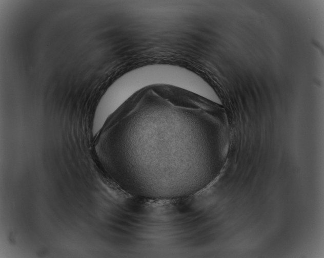 X0000093110186200710171231