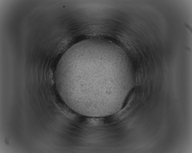 X0000093110187200710171231