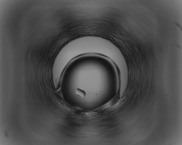 X0000093110188200710171231