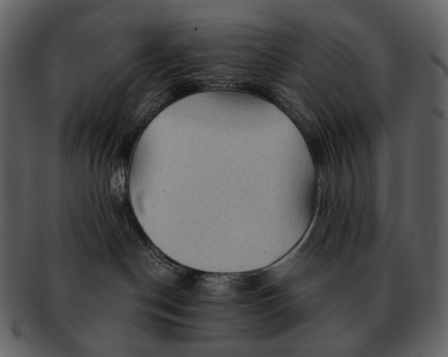 X0000093110190200710171231