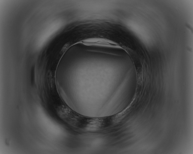 X0000093110191200710171231