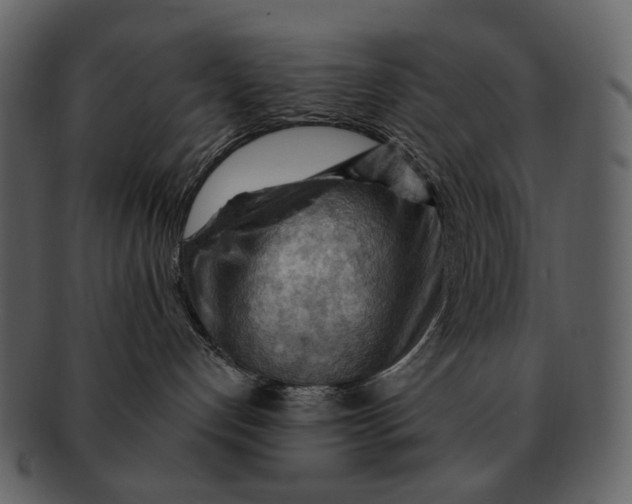 X0000093110192200710171231