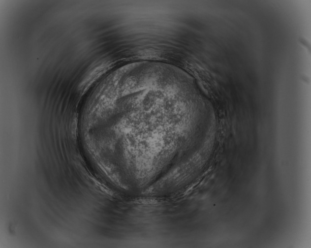 X0000093110194200710171230