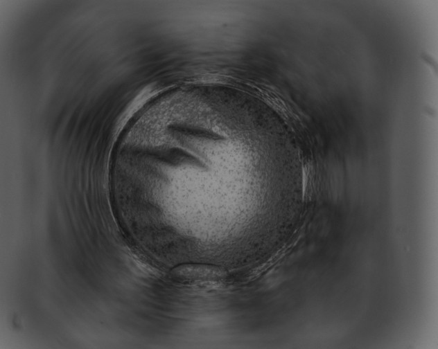 X0000093110195200710171230