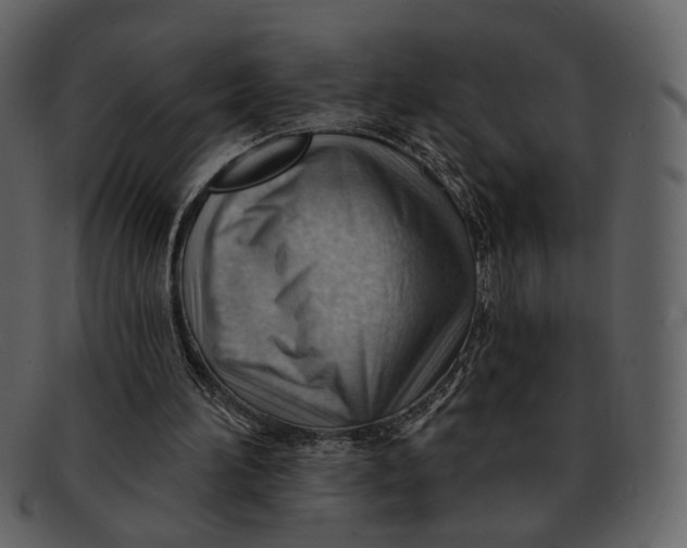 X0000093110196200710171230