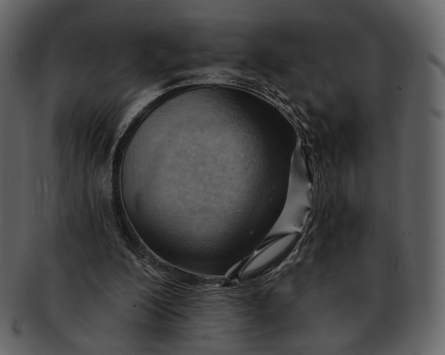 X0000093110200200710171230