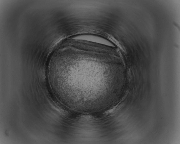 X0000093110203200710171230