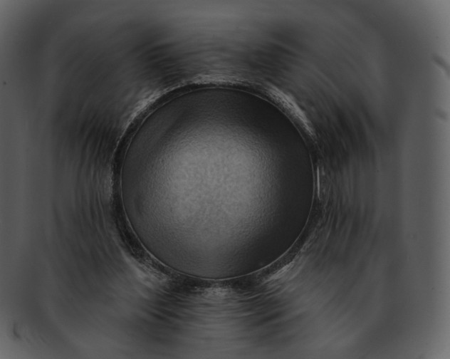 X0000093110204200710171230